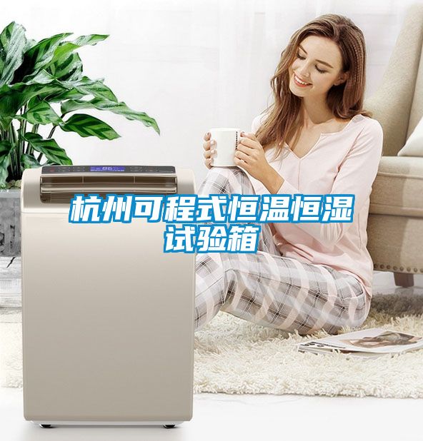 杭州可程式恒溫恒濕試驗箱