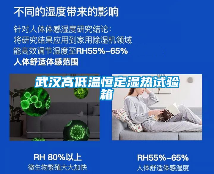 武漢高低溫恒定濕熱試驗箱