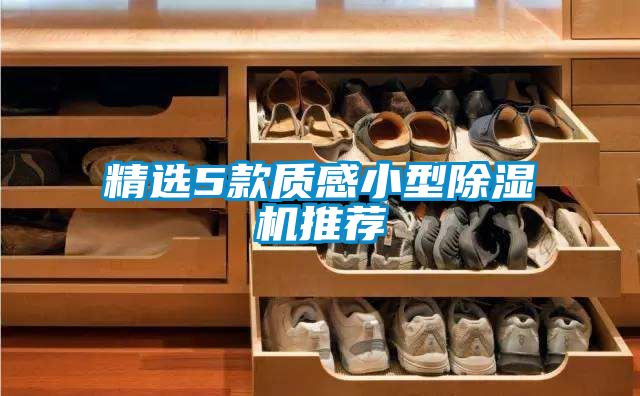 精選5款質感小型除濕機推薦