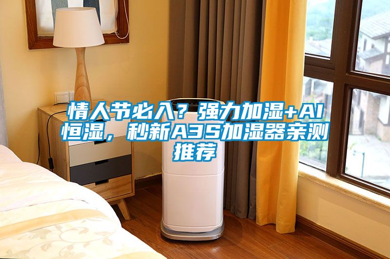 情人節(jié)必入？強(qiáng)力加濕+AI恒濕，秒新A3S加濕器親測(cè)推薦