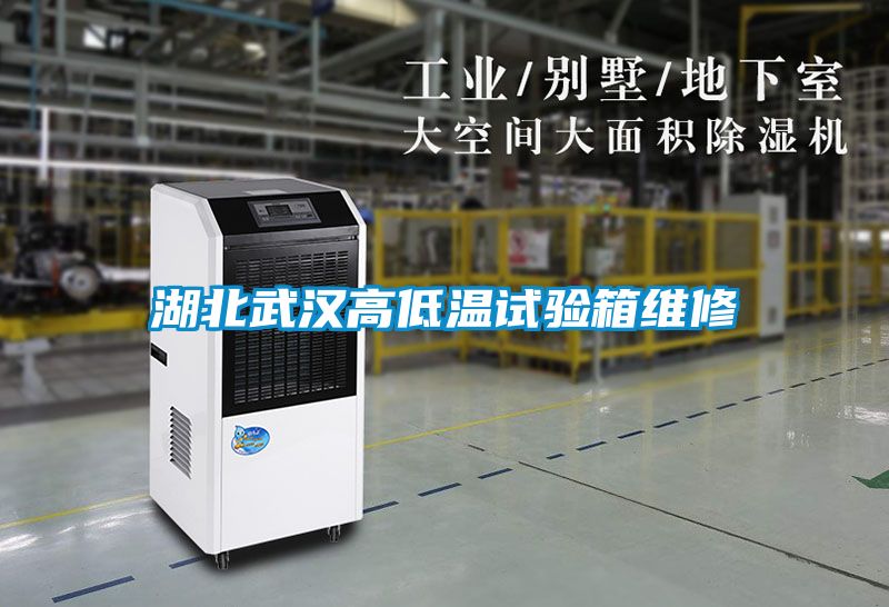 湖北武漢高低溫試驗箱維修