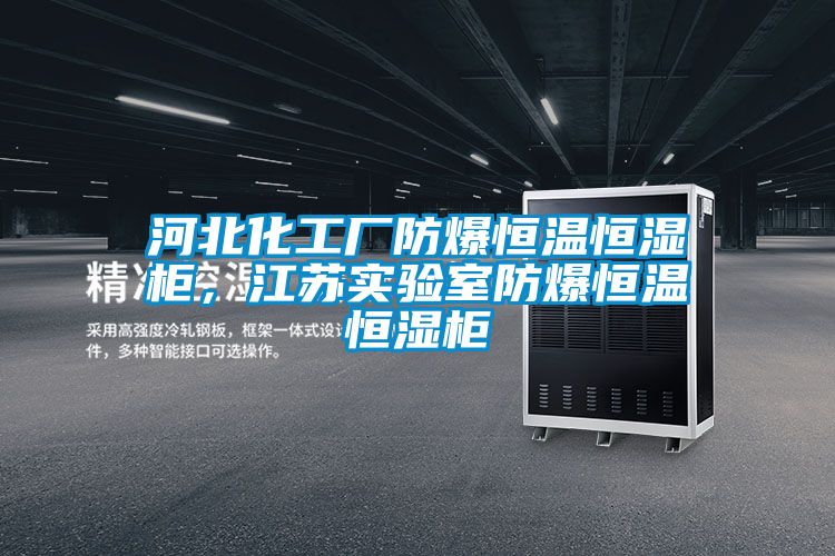 河北化工廠防爆恒溫恒濕柜，江蘇實(shí)驗(yàn)室防爆恒溫恒濕柜
