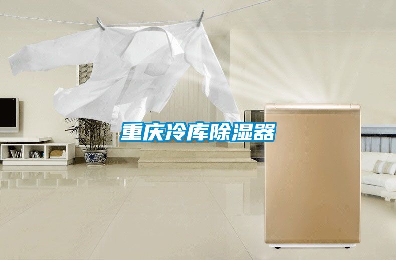 重慶冷庫除濕器