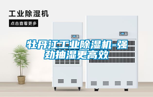 牡丹江工業除濕機-強勁抽濕更高效