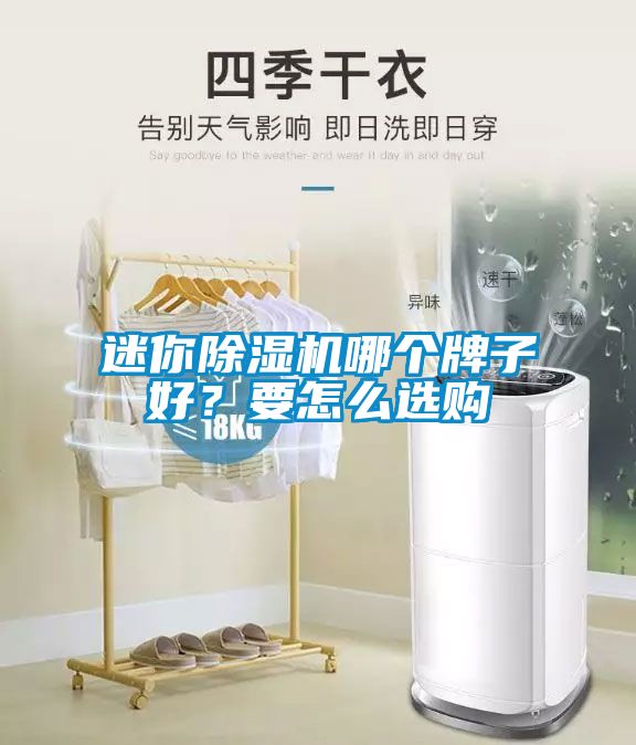 迷你除濕機哪個牌子好？要怎么選購