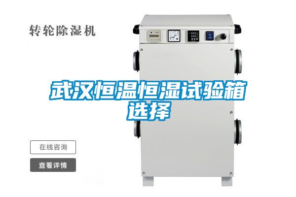 武漢恒溫恒濕試驗箱選擇
