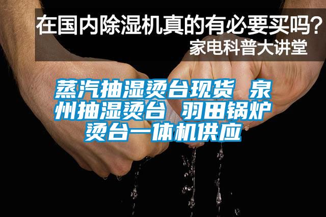 蒸汽抽濕燙臺現貨 泉州抽濕燙臺 羽田鍋爐燙臺一體機供應