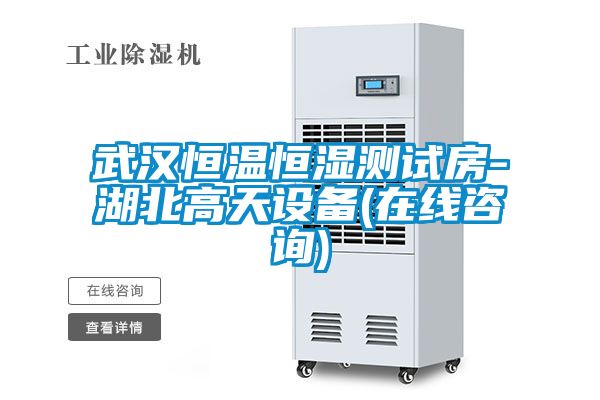 武漢恒溫恒濕測(cè)試房-湖北高天設(shè)備(在線咨詢)
