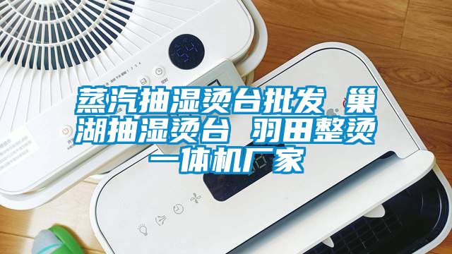 蒸汽抽濕燙臺批發 巢湖抽濕燙臺 羽田整燙一體機廠家