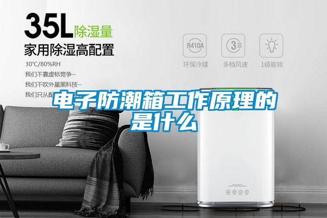 電子防潮箱工作原理的是什么