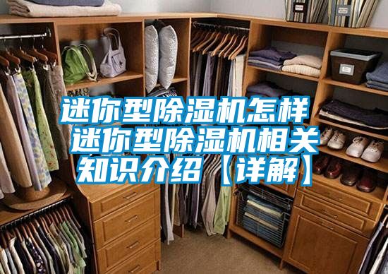 迷你型除濕機(jī)怎樣 迷你型除濕機(jī)相關(guān)知識介紹【詳解】
