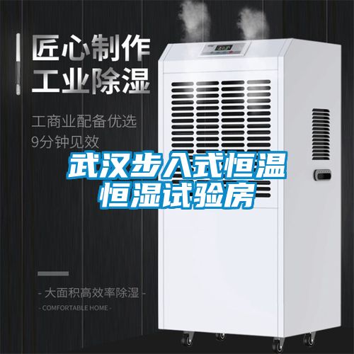 武漢步入式恒溫恒濕試驗房
