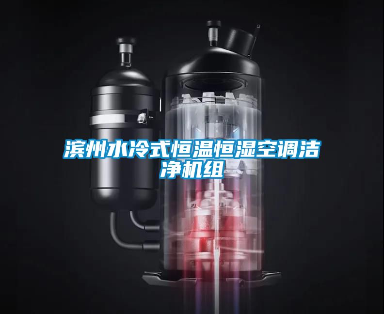 濱州水冷式恒溫恒濕空調(diào)潔凈機組