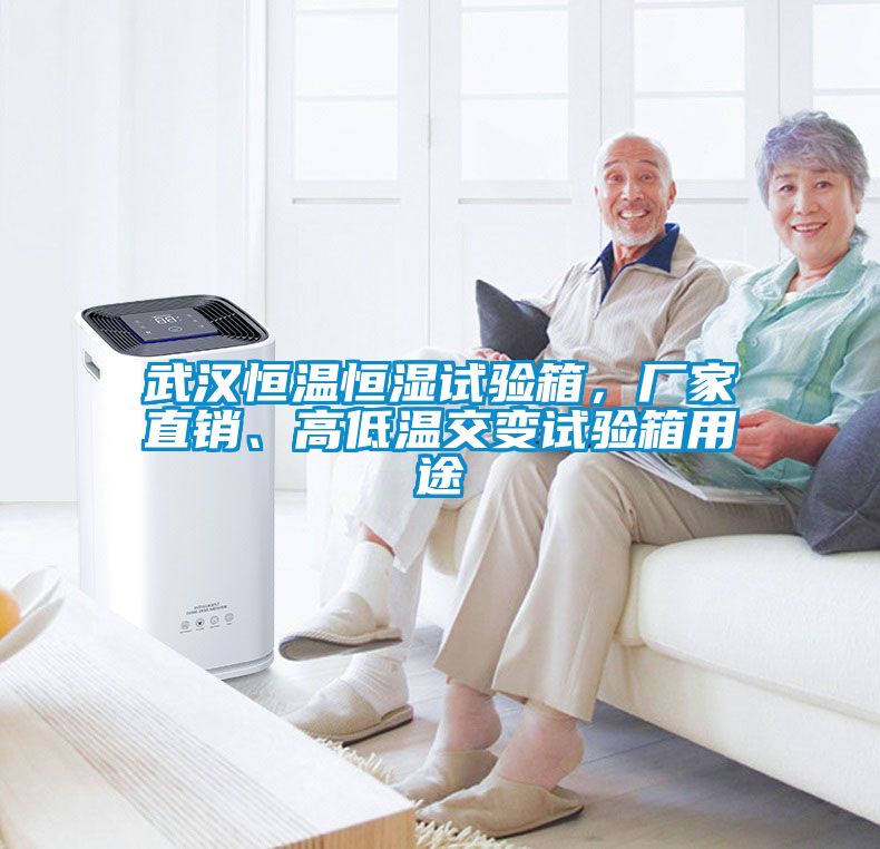 武漢恒溫恒濕試驗(yàn)箱，廠家直銷(xiāo)、高低溫交變?cè)囼?yàn)箱用途