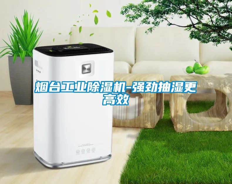 煙臺工業除濕機-強勁抽濕更高效