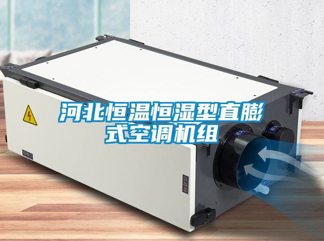河北恒溫恒濕型直膨式空調機組