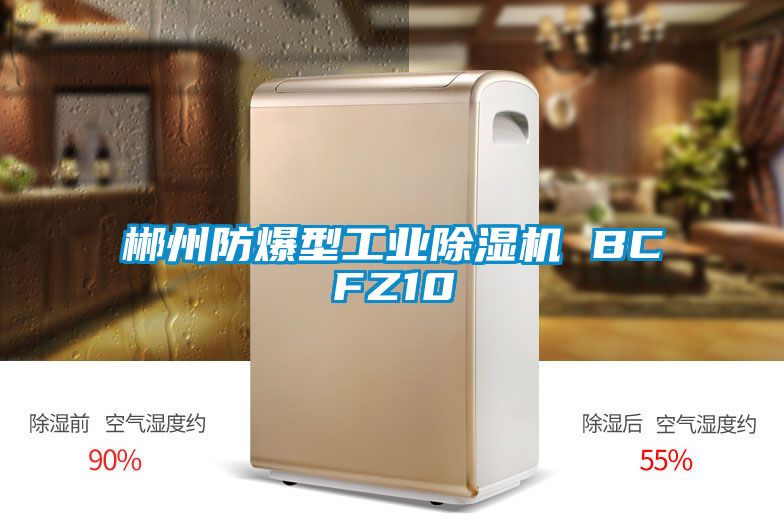 郴州防爆型工業除濕機 BCFZ10