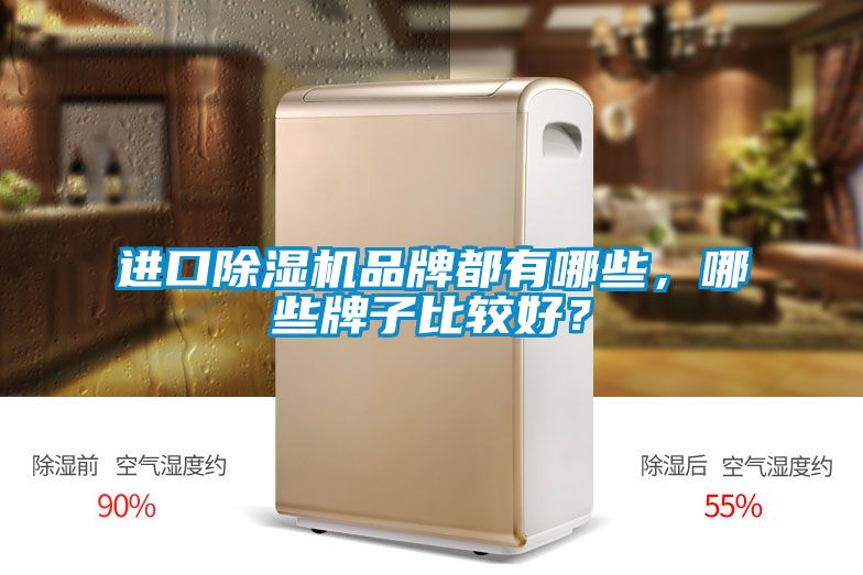 進(jìn)口除濕機(jī)品牌都有哪些，哪些牌子比較好？