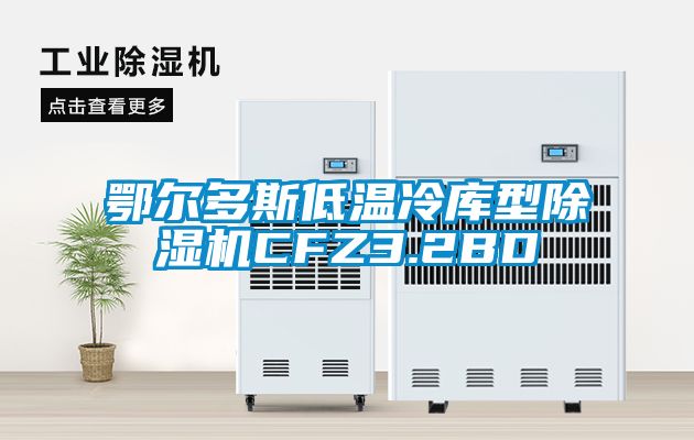鄂爾多斯低溫冷庫型除濕機CFZ3.2BD