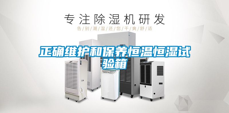 正確維護(hù)和保養(yǎng)恒溫恒濕試驗(yàn)箱