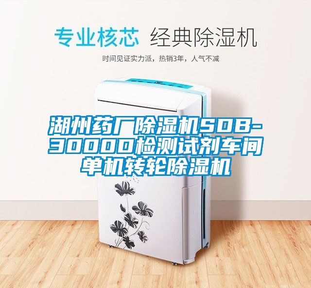 湖州藥廠除濕機SDB-3000D檢測試劑車間單機轉輪除濕機