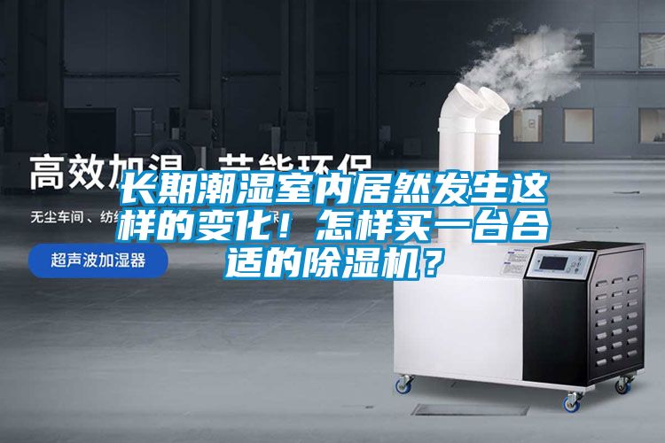 長期潮濕室內居然發生這樣的變化！怎樣買一臺合適的除濕機？