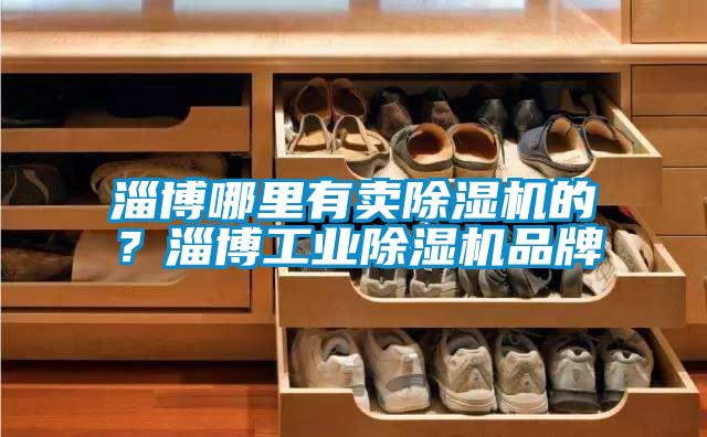 淄博哪里有賣除濕機的？淄博工業除濕機品牌