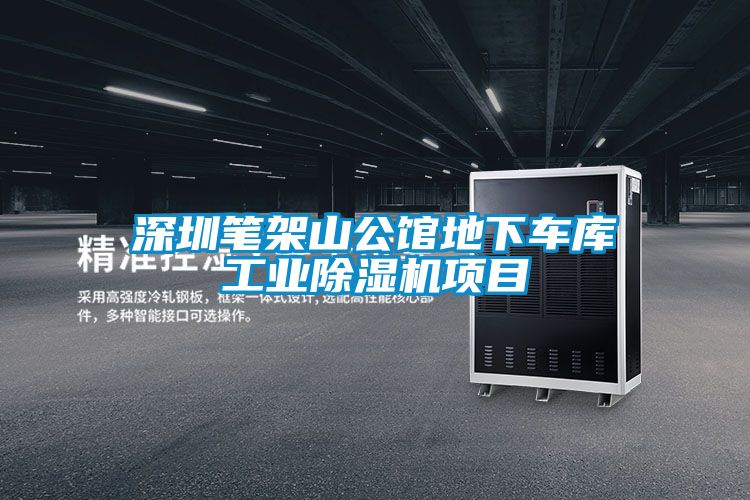 深圳筆架山公館地下車庫工業(yè)除濕機項目