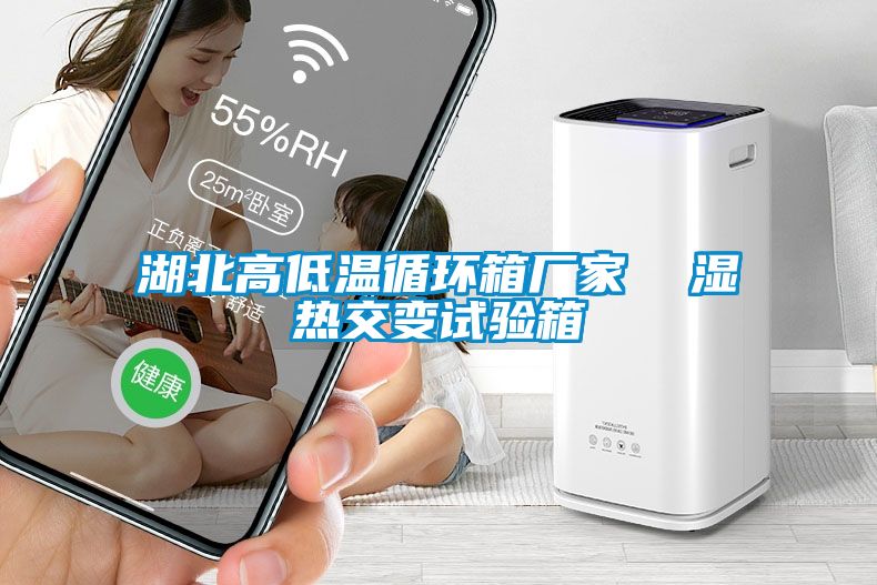 湖北高低溫循環箱廠家  濕熱交變試驗箱