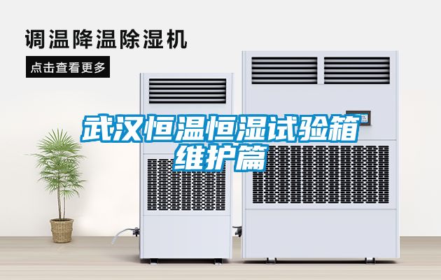 武漢恒溫恒濕試驗箱維護篇