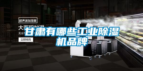 甘肅有哪些工業(yè)除濕機品牌