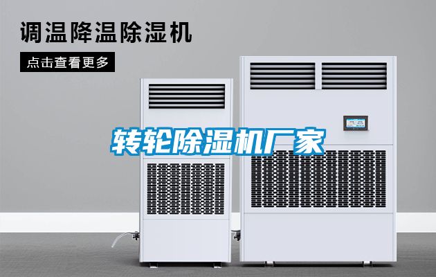 轉(zhuǎn)輪除濕機(jī)廠家