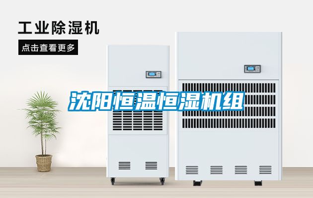 沈陽恒溫恒濕機組
