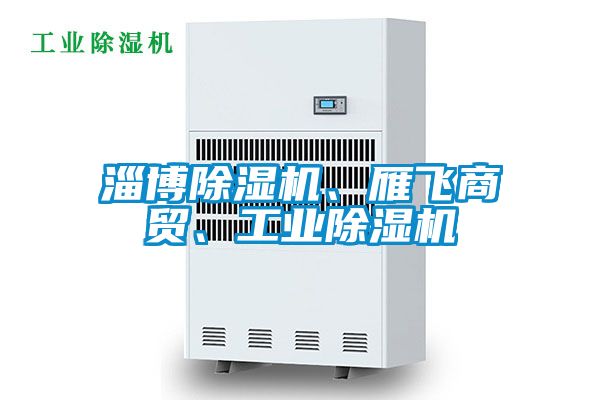 淄博除濕機、雁飛商貿(mào)、工業(yè)除濕機