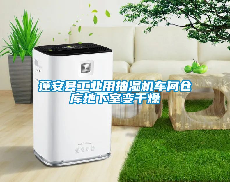 蓬安縣工業(yè)用抽濕機(jī)車間倉庫地下室變干燥