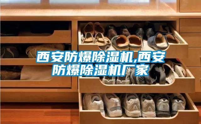 西安防爆除濕機,西安防爆除濕機廠家
