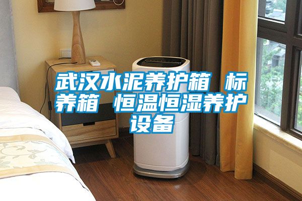 武漢水泥養護箱 標養箱 恒溫恒濕養護設備