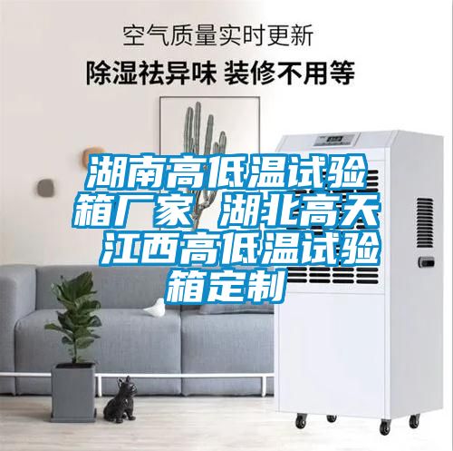 湖南高低溫試驗箱廠家 湖北高天 江西高低溫試驗箱定制