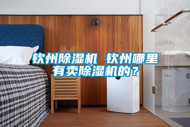 欽州除濕機 欽州哪里有賣除濕機的？