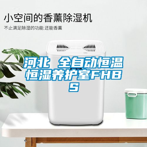 河北 全自動恒溫恒濕養護室FHBS