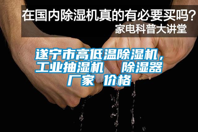 遂寧市高低溫除濕機(jī)，工業(yè)抽濕機(jī)  除濕器廠家 價(jià)格