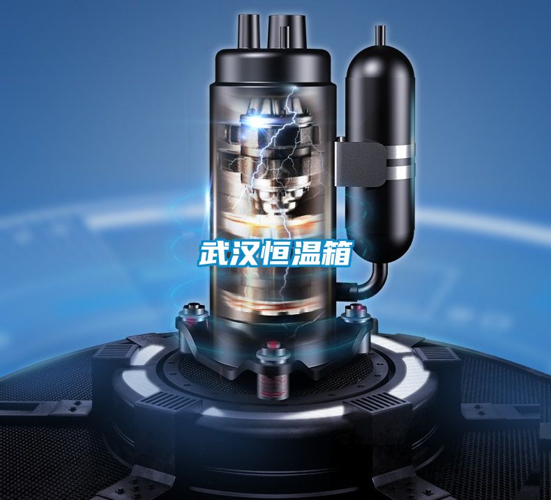 武漢恒溫箱