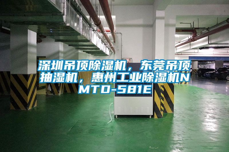深圳吊頂除濕機(jī)，東莞吊頂抽濕機(jī)，惠州工業(yè)除濕機(jī)NMTD-581E