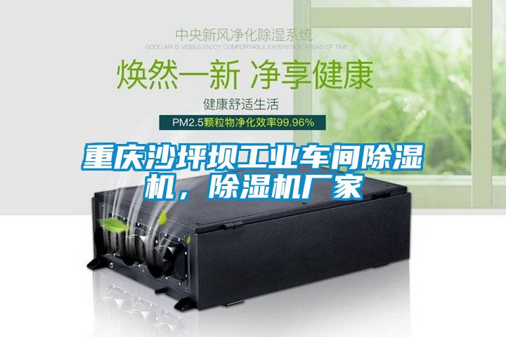 重慶沙坪壩工業車間除濕機，除濕機廠家