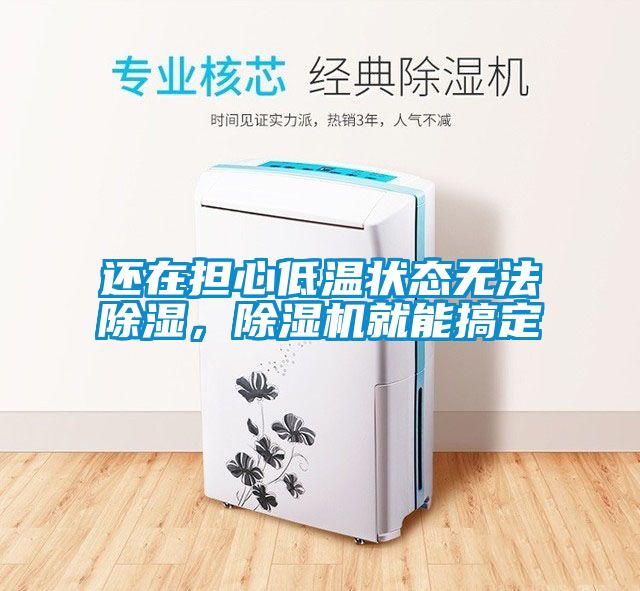 還在擔(dān)心低溫狀態(tài)無法除濕，除濕機(jī)就能搞定