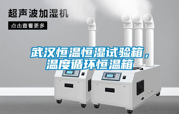 武漢恒溫恒濕試驗箱，溫度循環恒溫箱