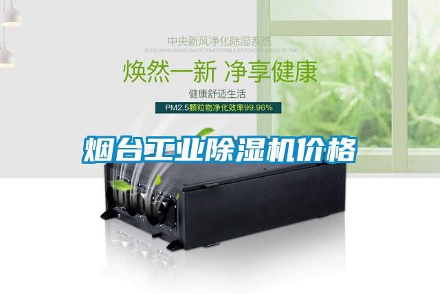 煙臺工業除濕機價格