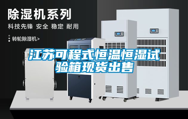 江蘇可程式恒溫恒濕試驗(yàn)箱現(xiàn)貨出售