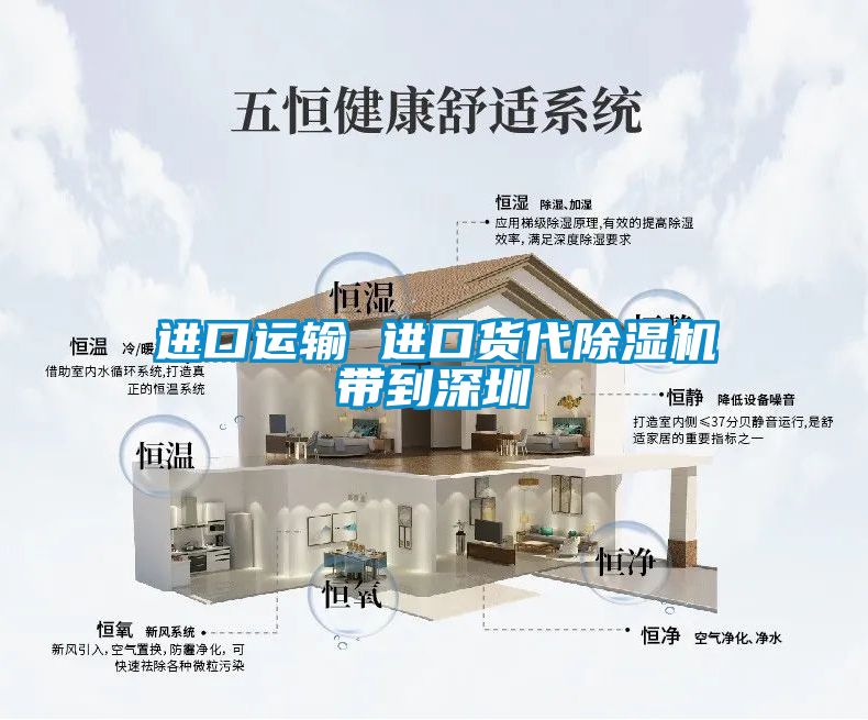 進(jìn)口運(yùn)輸 進(jìn)口貨代除濕機(jī)帶到深圳