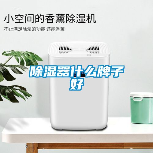 除濕器什么牌子好